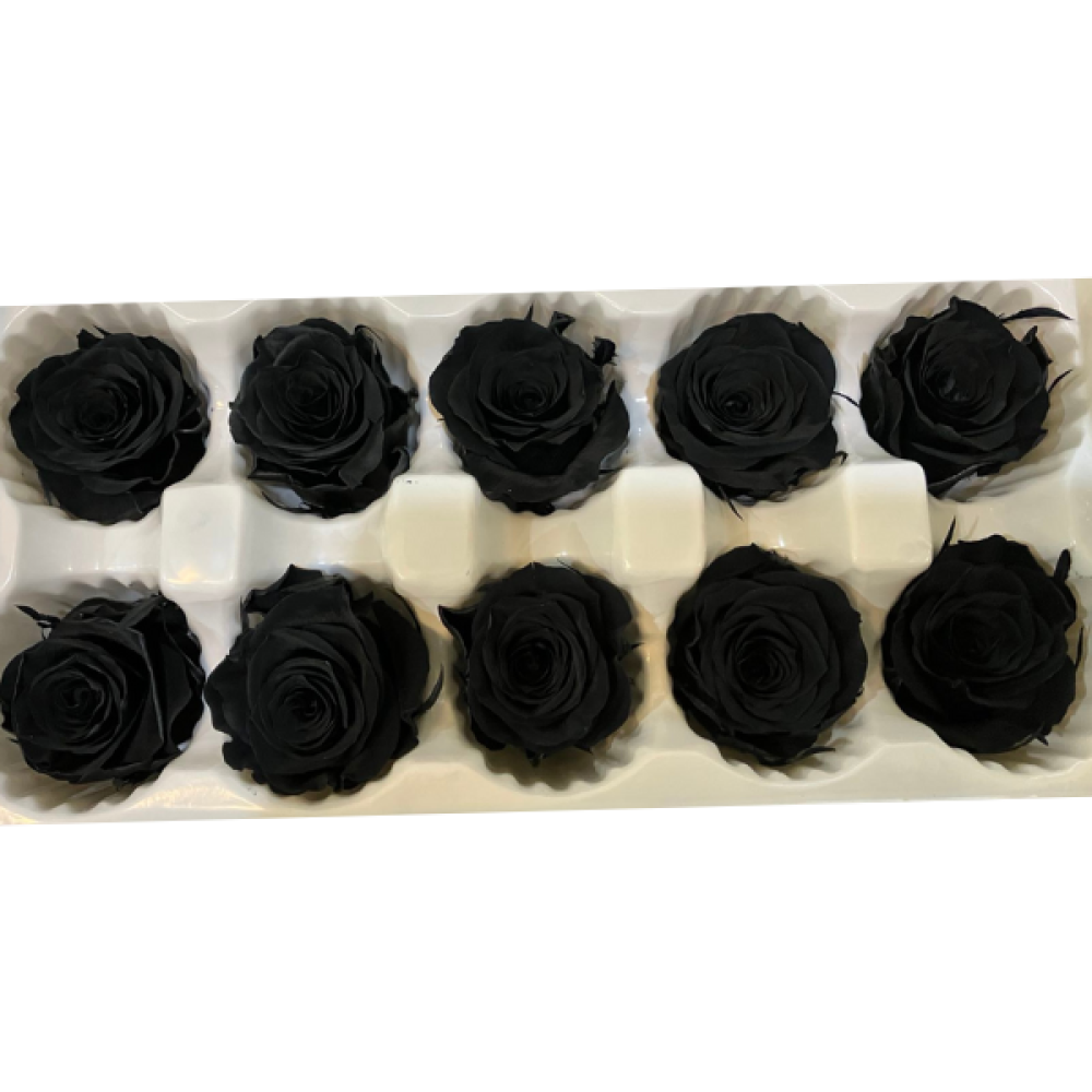 Black Roses Preserved | Long Lasting Roses